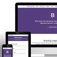 5-stars-review-on-the-bootstrap-theme-for-wordpress